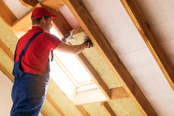 Types of Insulation We Offer in Highland, MD